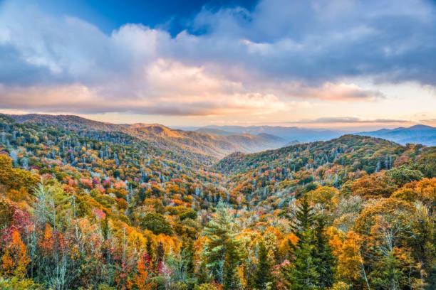 Breathtaking Sunsets, Views, Pool, Heaven Awaits! Villa Gatlinburg Eksteriør bilde